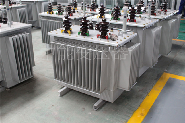 长沙S22-100KVA/10KV/0.4KV变压器